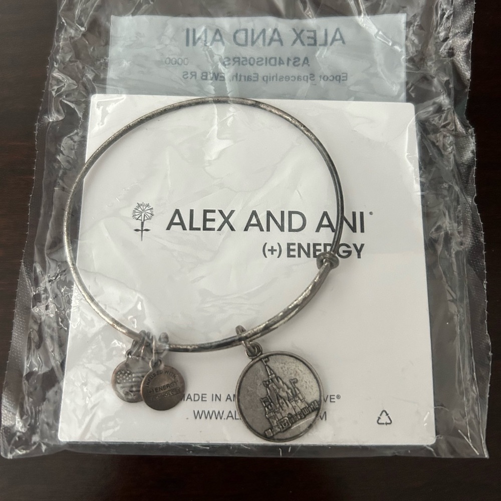 Alex and Ani Magic Kingdom Bracelet